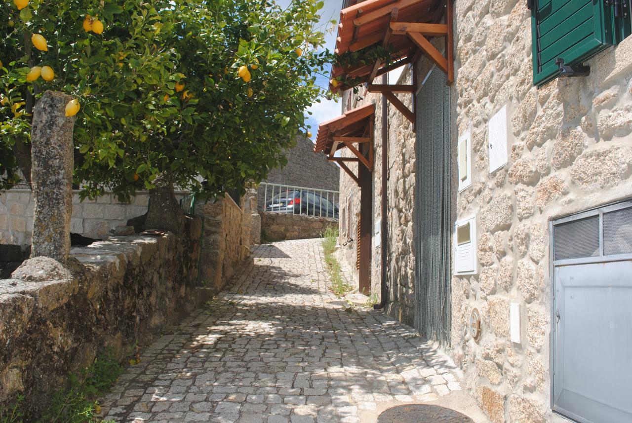 Moradia Familia Escoto Holiday home Monsanto